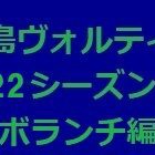 『徳島ヴォルティス2022年陣容 ボランチ編』の画像