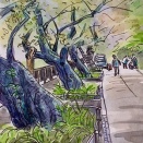 千鳥ヶ淵緑道の桜並木をスケッチ