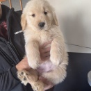 とめちゃん登場からの９日間ダイジェスト