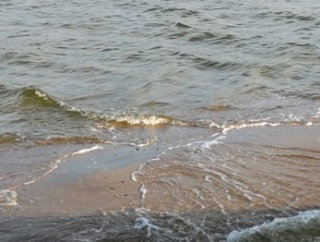 歩けなくなったら終わりの合図らしい