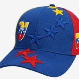 『打は大関、投は平幕　2026WBC　ベネズエラ』の画像