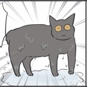 猫たちをお風呂に入れたら…