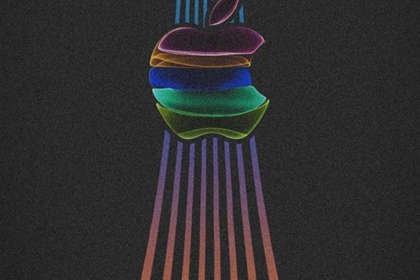 壁紙 シンコール