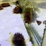 Beach Field　いいかげん日記帳Ⅲ