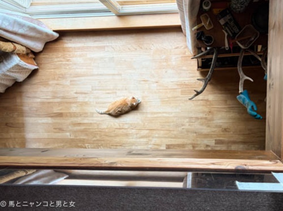 こんな日は