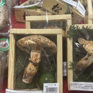 孫とバイバイした後は…