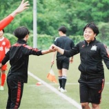 『好奇心の赴くままに(石本龍之介)』の画像