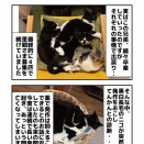 猫のてんかん重積