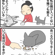 フードで難しい猫、ルーシーの場合