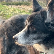 【日々の暮らし】いつの間にか春の気配を追いかける散歩道♪