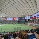 ラグザス 侍ジャパンシリーズ2025 日本 vs 韓国戦（11/15）