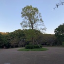 日曜散歩(^^)/~~~