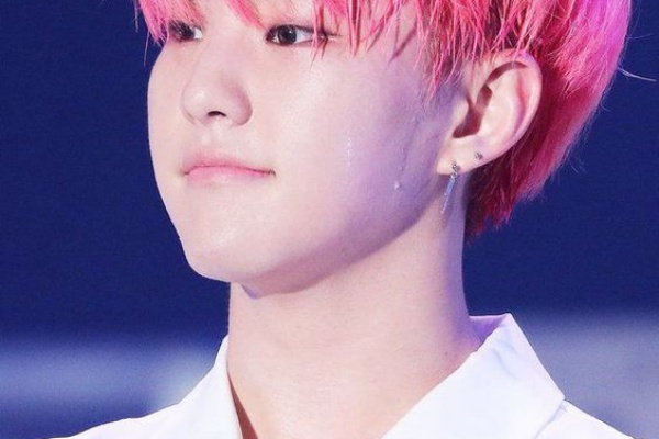 ぴよぴよにっき ホシ