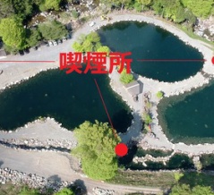 明日22日(月)もトラック放流です！