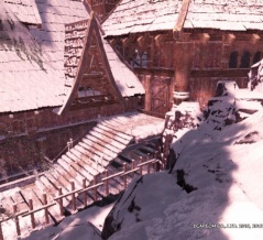 セリエナの資料②