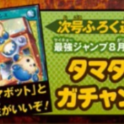 遊戯王ラッシュデュエル　タマタマガチャンス　33枚セット　最強ジャンプ　8月号 最強ジャンプ2025年8月】タマタマガチャンス – 遊戯王ラッシュ