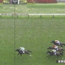 【競馬】ブローザホーンが引退　馬事公苑で乗馬へ