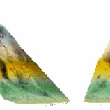 『足寄町の崩壊地で測定していみました。』の画像