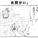 うちの犬のルカ。【５７】