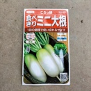 ダイコン　2026春