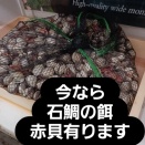 ブラバスリール☀インターネットでも販売中です☀