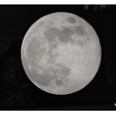 コールドムーン