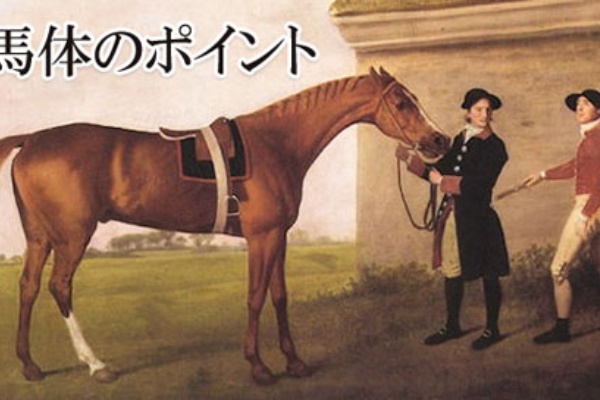馬体のポイント 馬体不変論 当歳の馬体写真で十分 馬体一刀流ブログ 馬体レーティング パドックより馬体写真で適性を見極める馬体診断 馬体の見方を公開