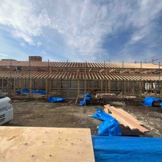 雨竹 盆栽 水石 便り