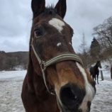 『帰る順番』の画像