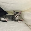 まろはなの１１年前の動画が出てきたよ！