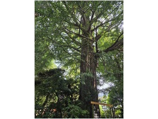 リュック背負って大移動
