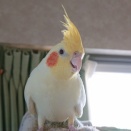 ２年ぶり。