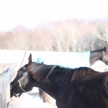 『居眠り』の画像