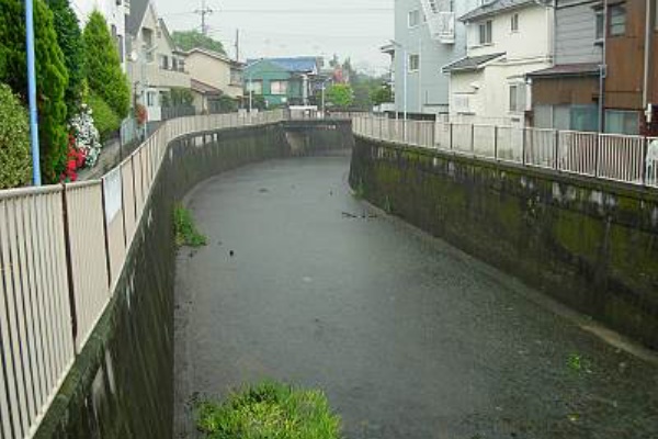 毎日がレビュー 善福寺川の氾濫 東京都杉並区