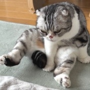 不運続きの日は幸運1つで帳消しになります～♪