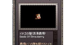 かつらが出ない！（残り2日）