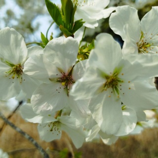 意識改革最前線の日々