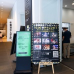 さえひろでいず
