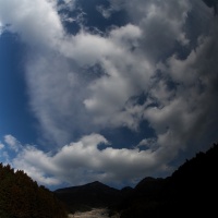 四谷の棚田