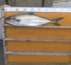 　　　　　　　　２０２６年4月6日