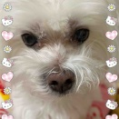 きのうのこと【土曜日】