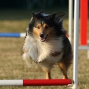 土日は編集休み　５８