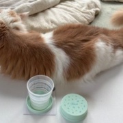 セリアの折りたたみコップと昭和の「水を飲むな」という話