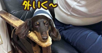 雨でした。