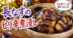 長なすを買ったら絶対これ！とろっと旨い「ピリ辛煮浸し」
