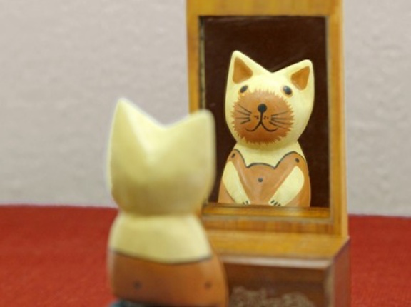 【疑問】「うつ病」と「ただのネガティブな性格」の違いって何なの？
