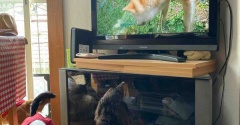 季節が変わった。ダラダラ日記。