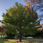 三重県よろずや