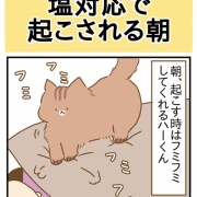 ちょっと悲しい⋯塩対応で起こされる朝