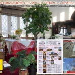 京この頃★北洞院エリ子花前カレン